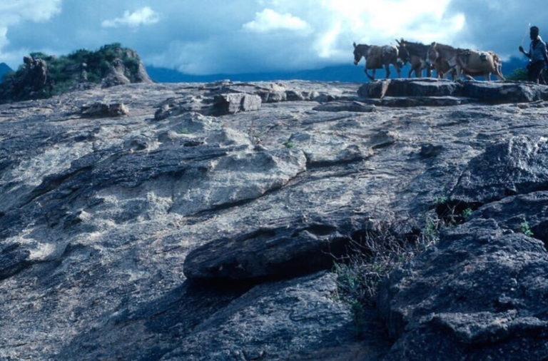 Vicarious travel, unvarnished – trekking Lake&nbsp;Turkana
